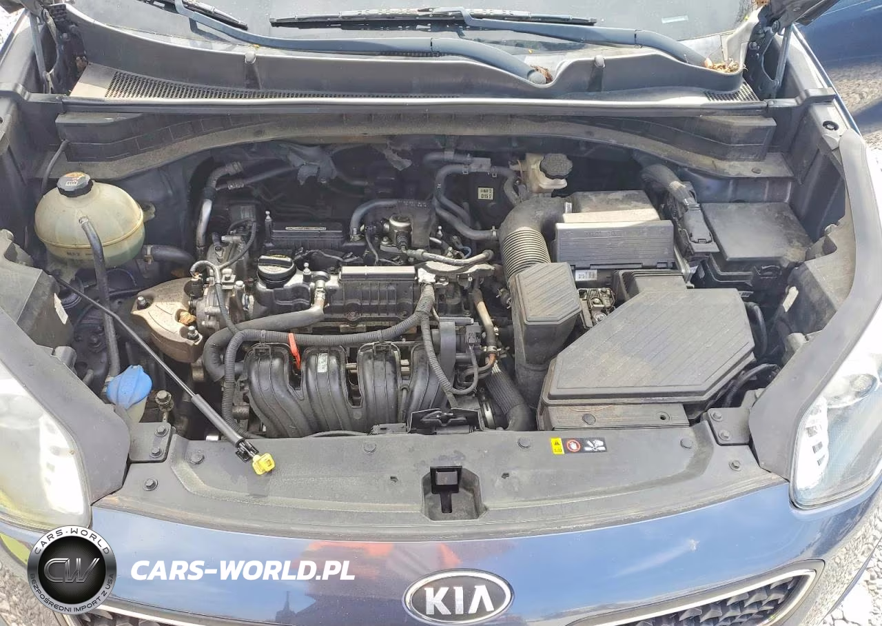 2019 Kia Sportage Lx VIN:KNDPM3AC9K7611880 - 12
