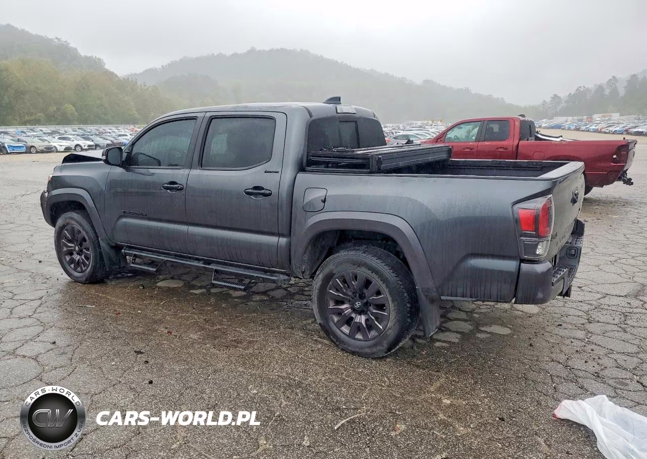 2021 Toyota Tacoma Limited VIN:3TMGZ5AN1MM425810 - 2