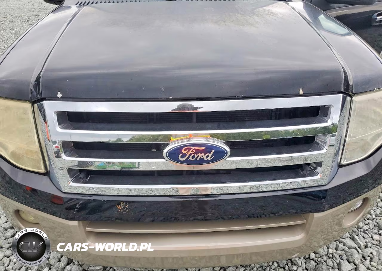 2008 Ford Expedition Eddie Bauer VIN:1FMFU17568LA10754 - 12
