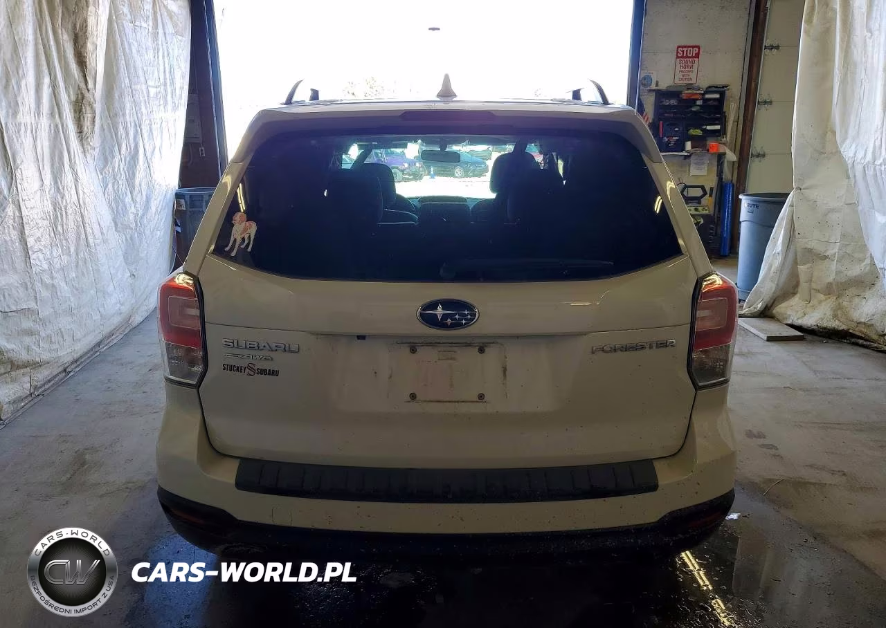 2018 Subaru Forester 2.5I Premium VIN:JF2SJAEC1JG548873 - 6