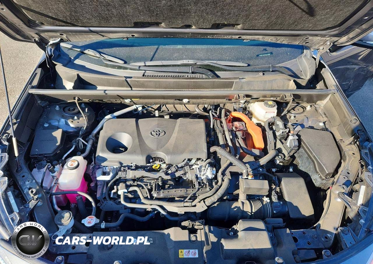 2025 Toyota Rav4 Le VIN:JTMMWRFV0SD295619 - 11