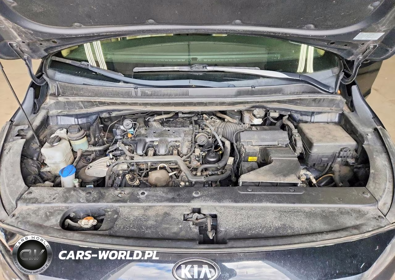 2017 Kia Sedona Lx VIN:KNDMB5C19H6318236 - 12