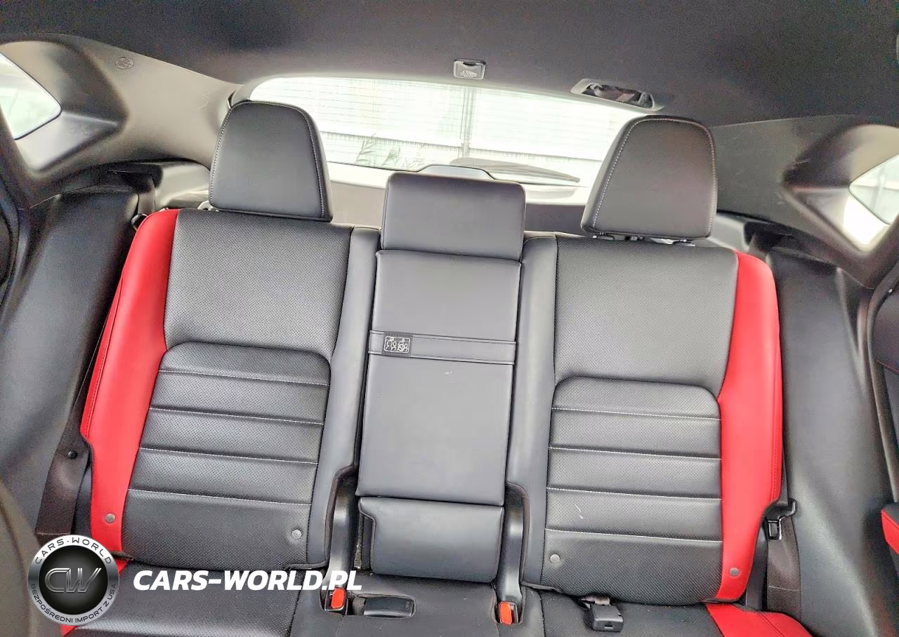 2021 Lexus Nx 300 F Sport VIN:JTJSARDZ8M2262455 - 10