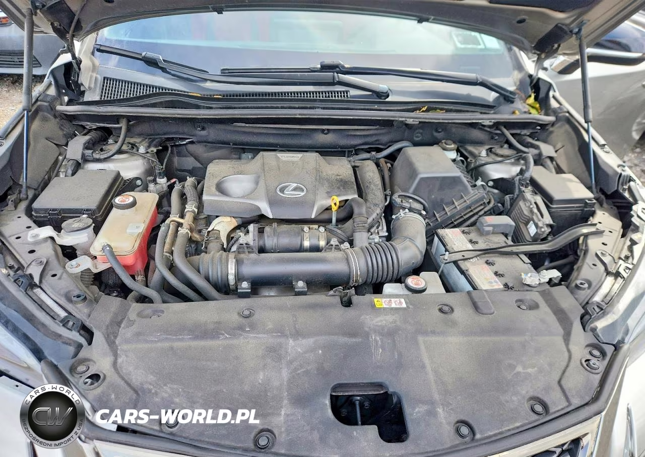 2021 Lexus Nx 300 F Sport VIN:JTJSARDZ8M2262455 - 12