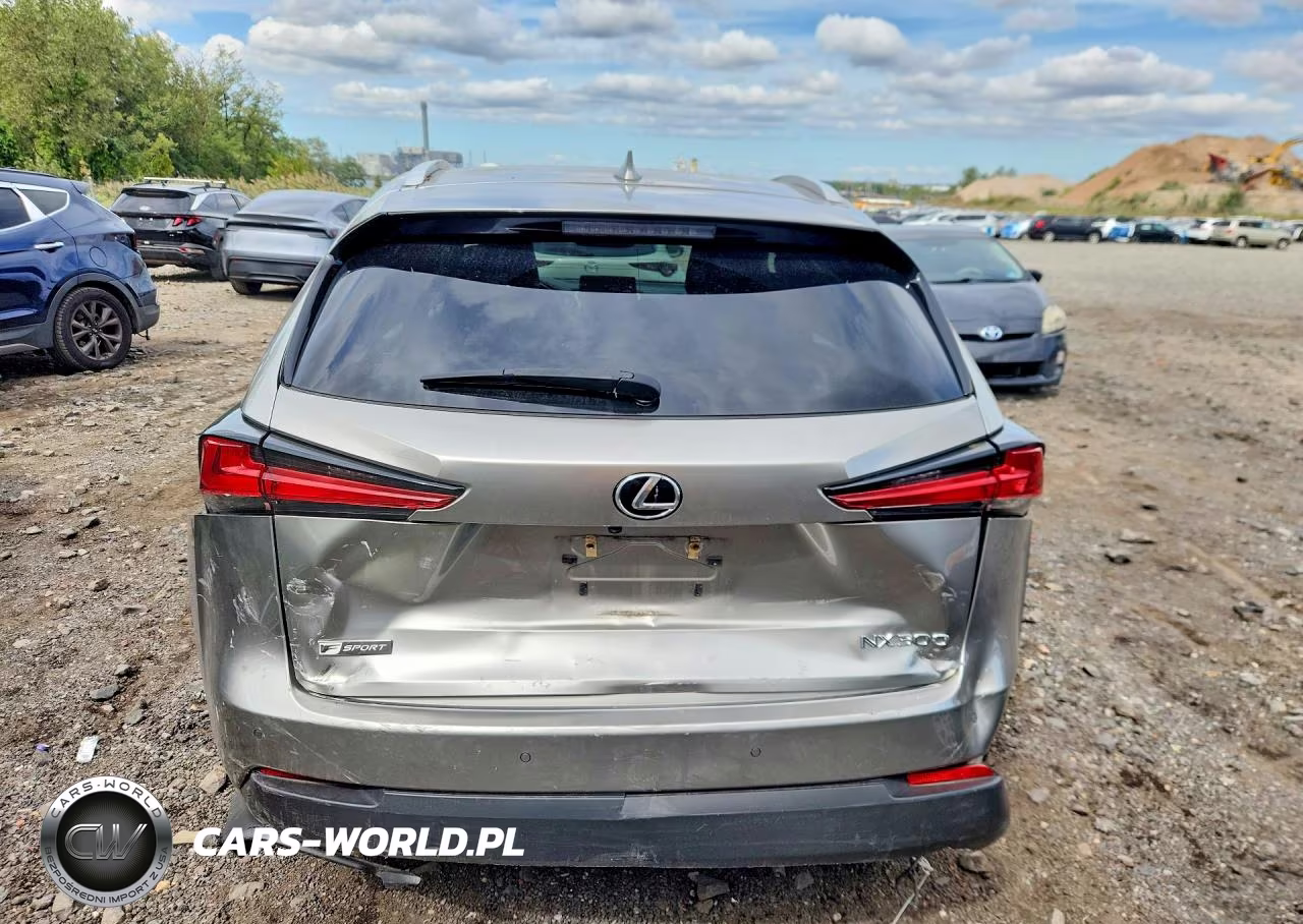 2021 Lexus Nx 300 F Sport VIN:JTJSARDZ8M2262455 - 6