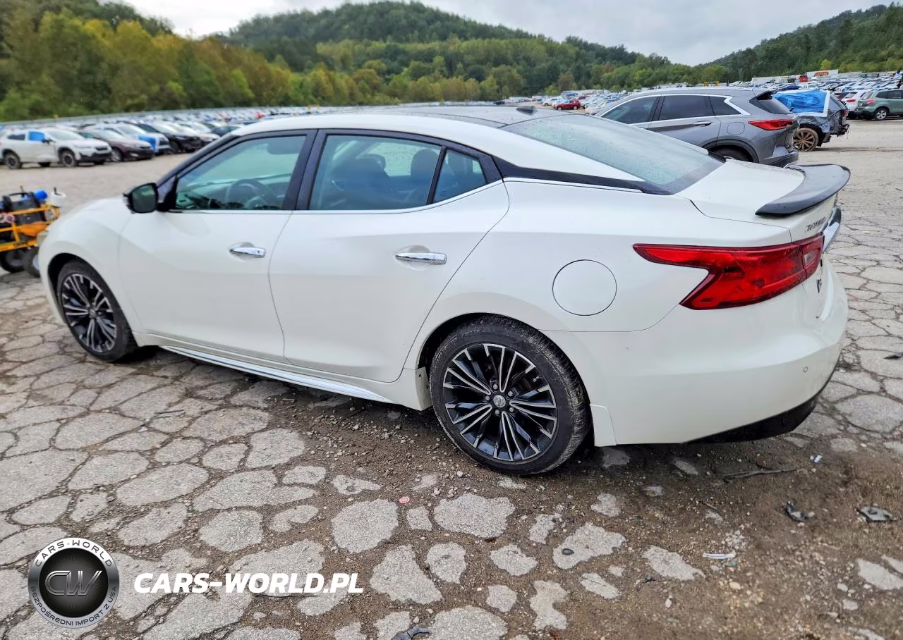 2016 Nissan Maxima Platinum VIN:1N4AA6AP7GC381263 - 2