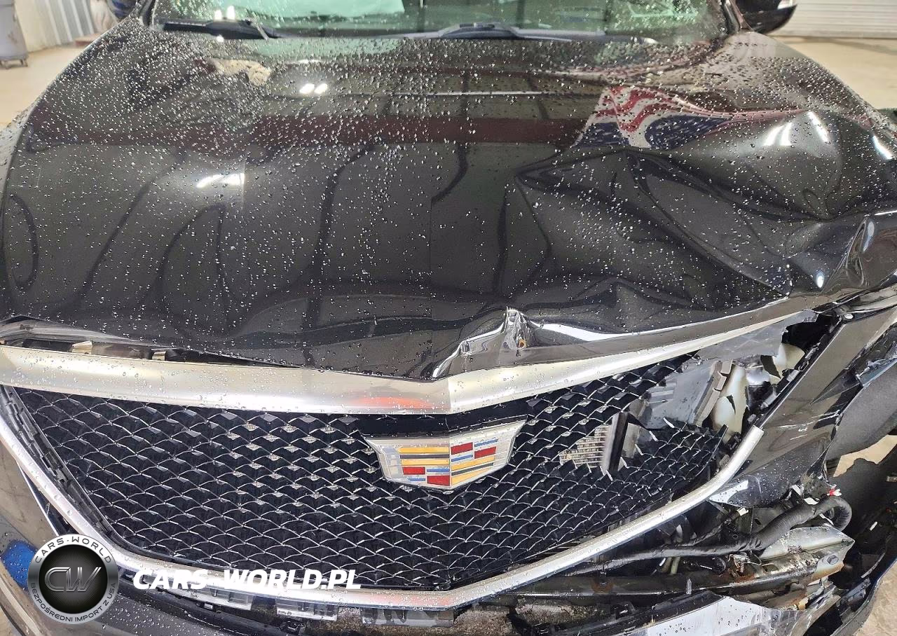 2021 Cadillac Xt5 Sport VIN:1GYKNGRS0MZ162455 - 12