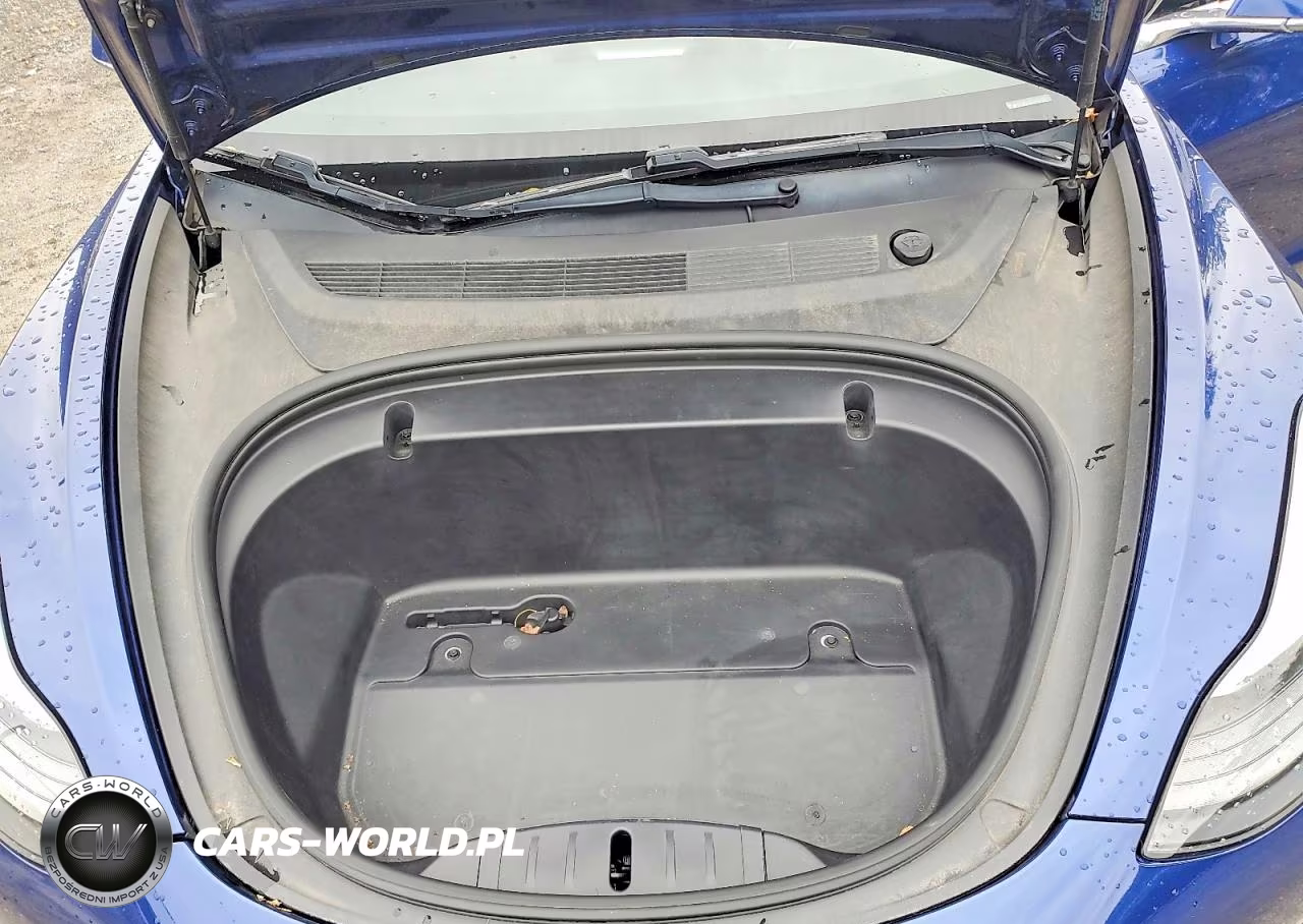 2020 Tesla Model 3 VIN:5YJ3E1EA4LF739724 - 11