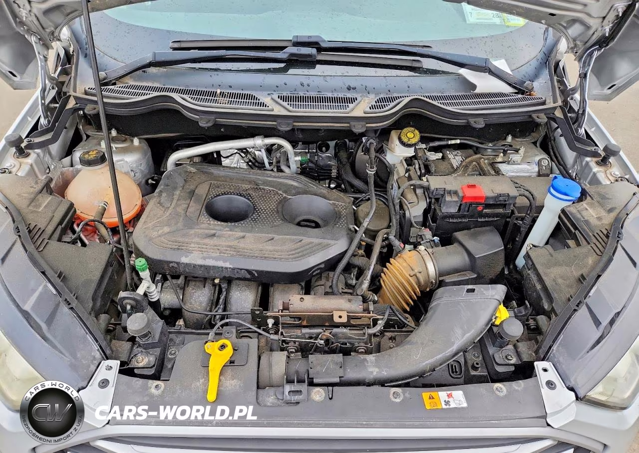 2019 Ford Ecosport Se VIN:MAJ6S3GL1KC271419 - 12