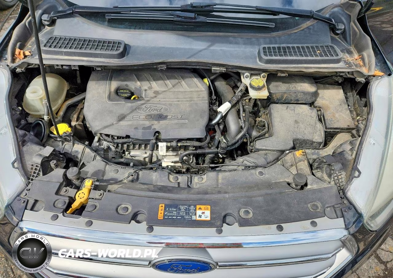 2017 Ford Escape Se VIN:1FMCU0GD0HUA11994 - 12