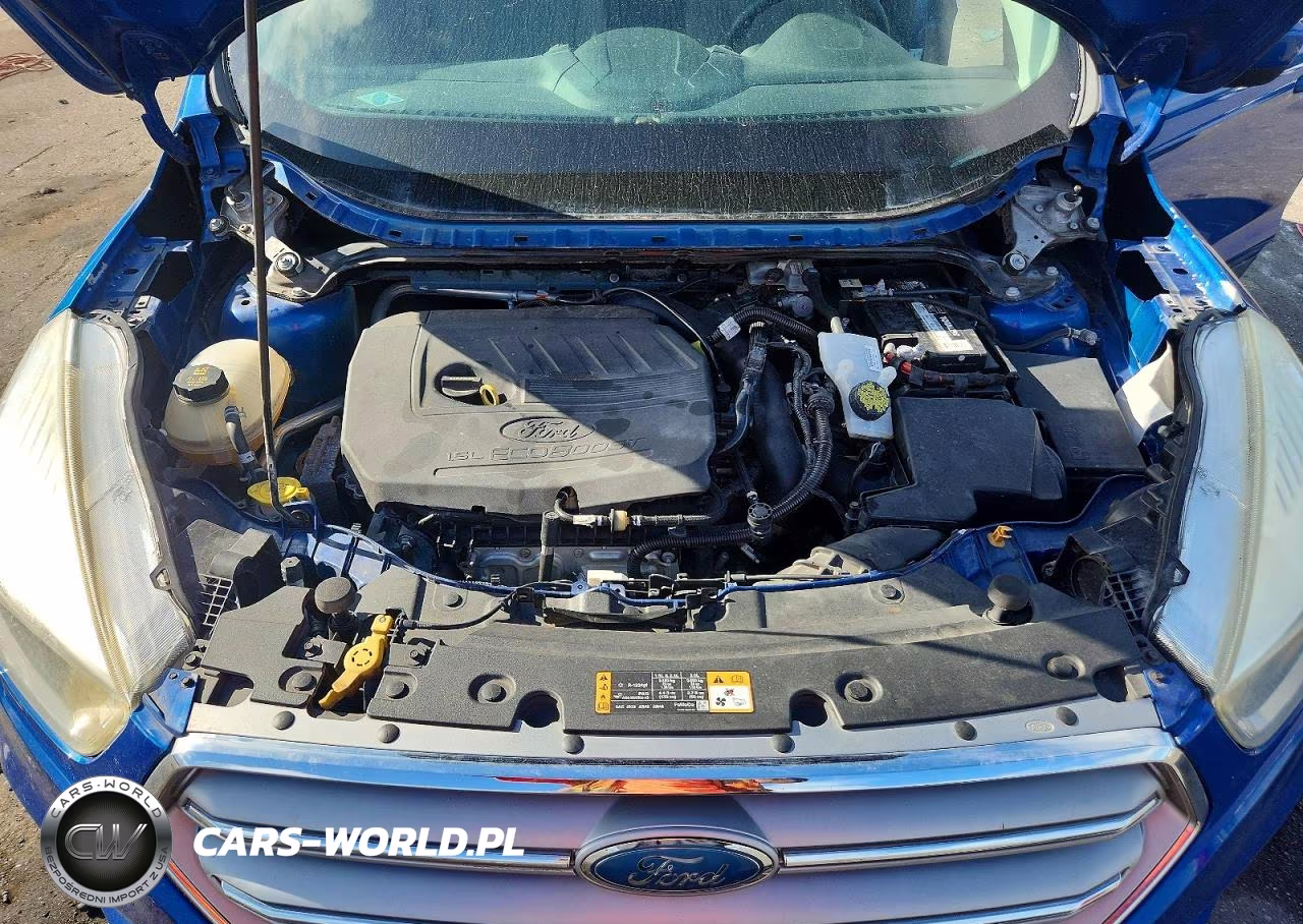 2017 Ford Escape Se VIN:1FMCU0GD8HUF02541 - 11