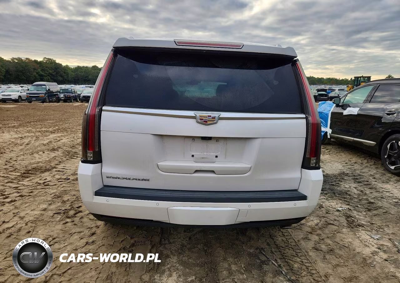 2017 Cadillac Escalade Luxury VIN:1GYS4BKJXHR383459 - 6