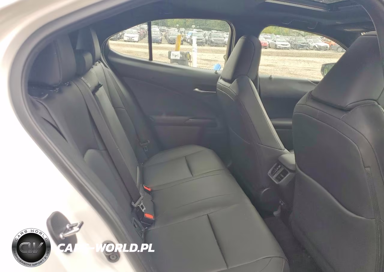 2020 Lexus Ux 250H VIN:JTHP9JBH9L2026973 - 10