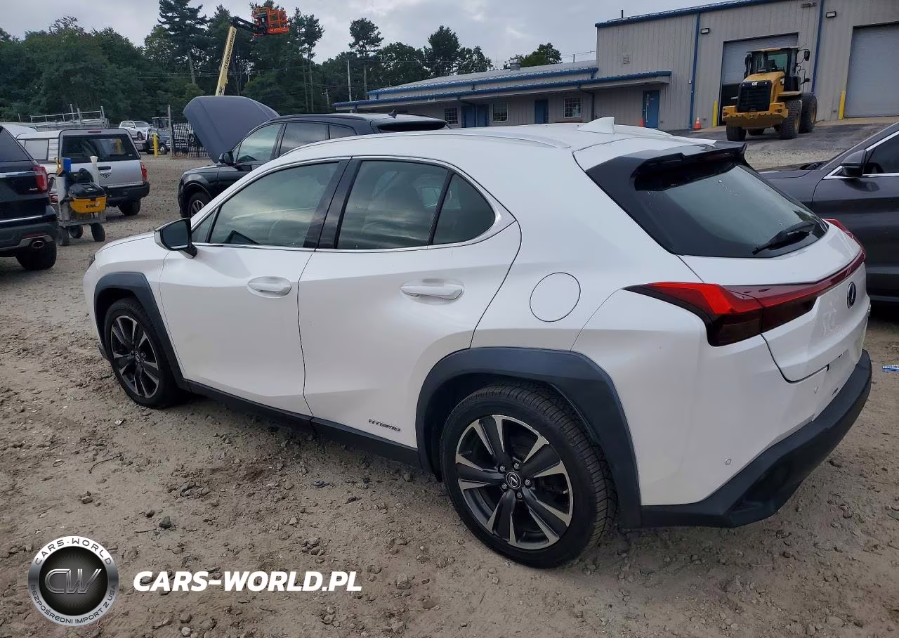 2020 Lexus Ux 250H VIN:JTHP9JBH9L2026973 - 2