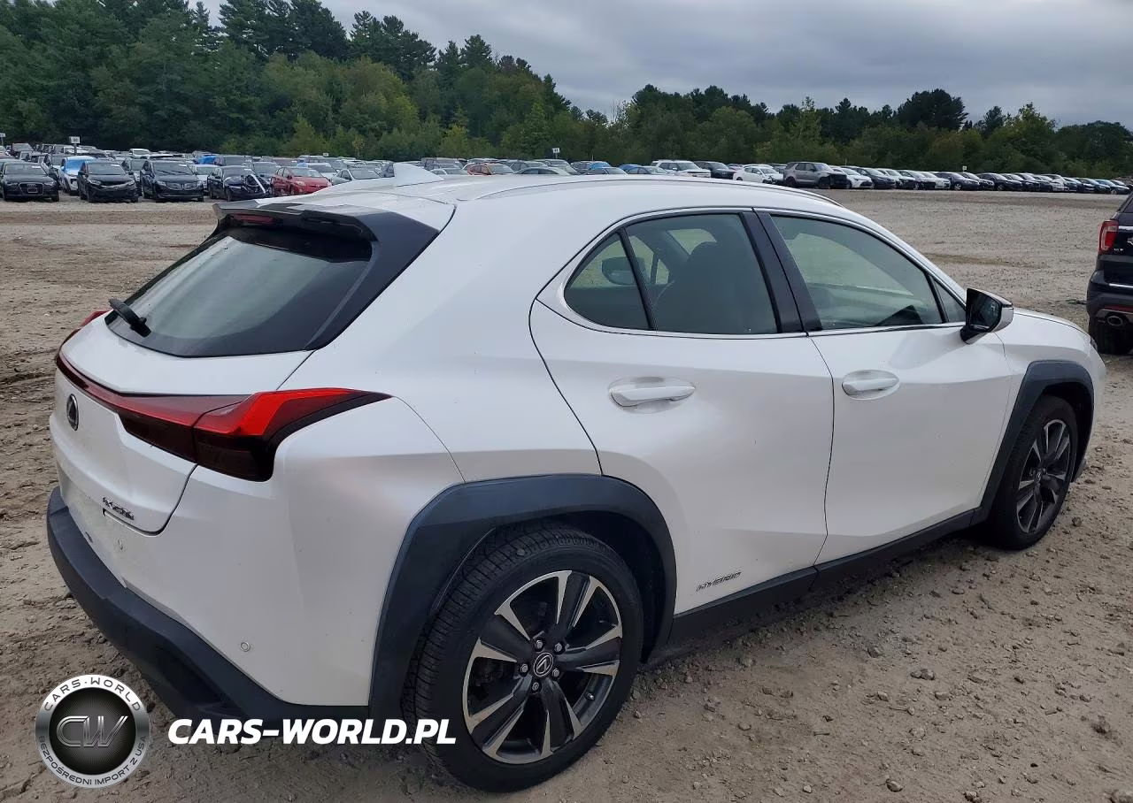 2020 Lexus Ux 250H VIN:JTHP9JBH9L2026973 - 3