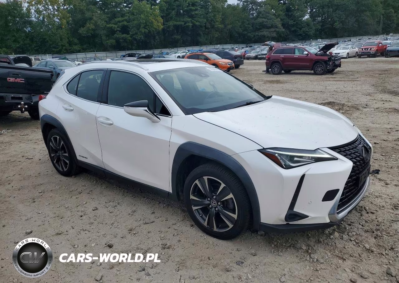 2020 Lexus Ux 250H VIN:JTHP9JBH9L2026973 - 4