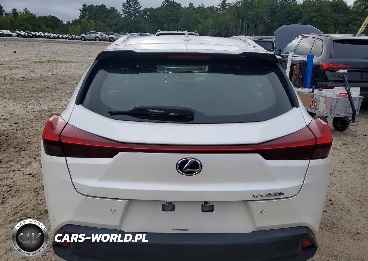 2020 Lexus Ux 250H VIN:JTHP9JBH9L2026973 - 6