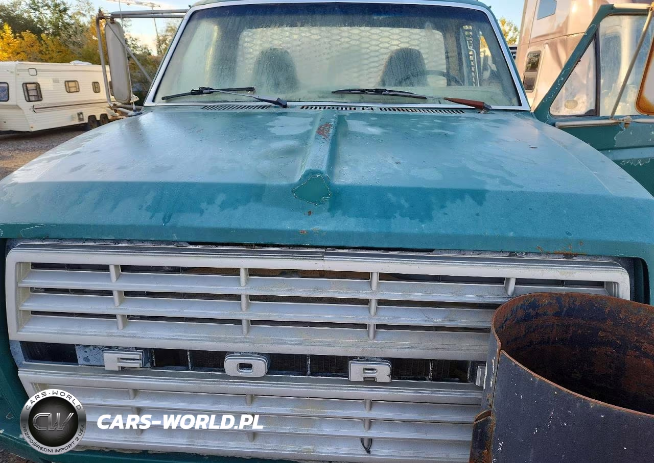 1982 Ford F700 VIN:1FDNF77HXCVA50383 - 11