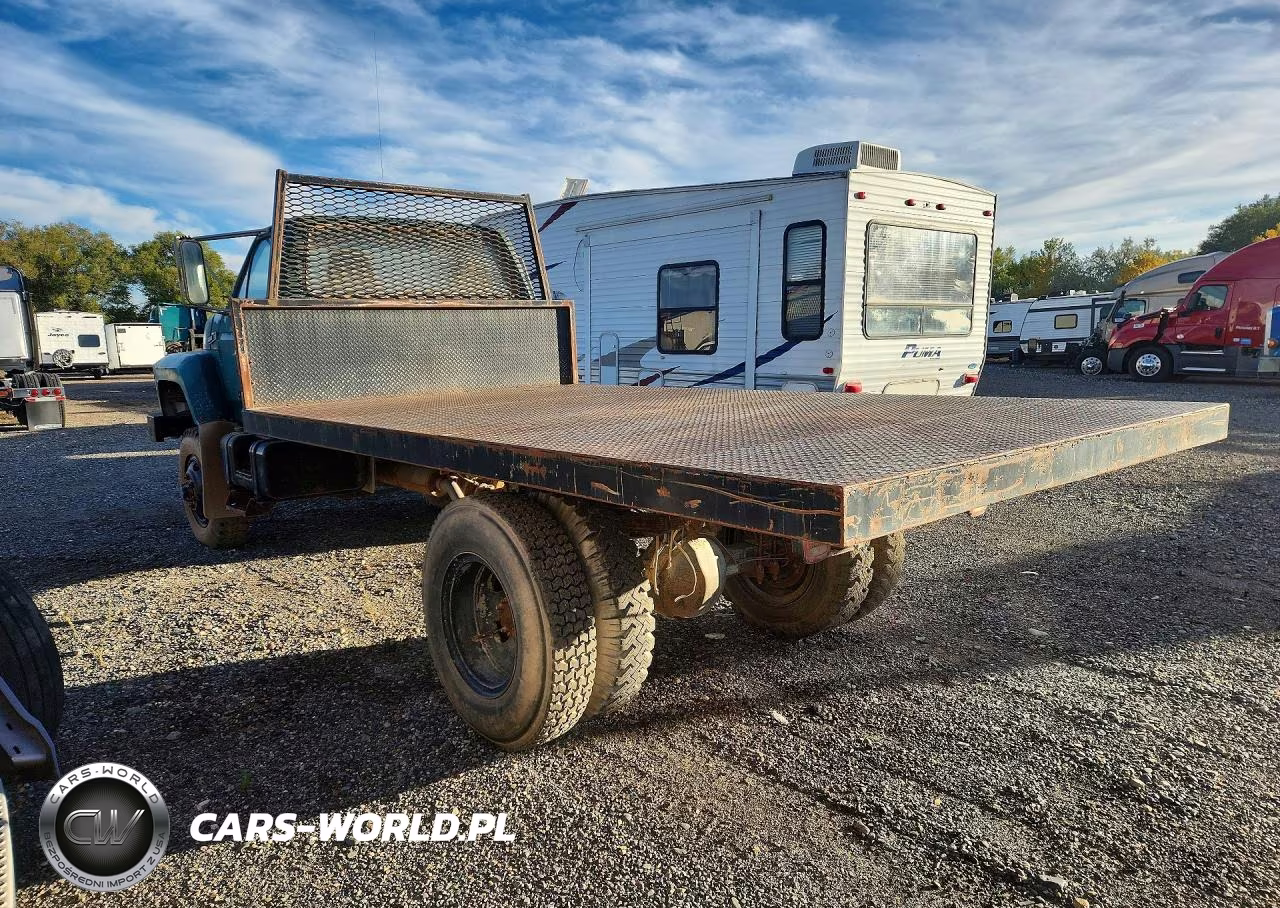 1982 Ford F700 VIN:1FDNF77HXCVA50383 - 2