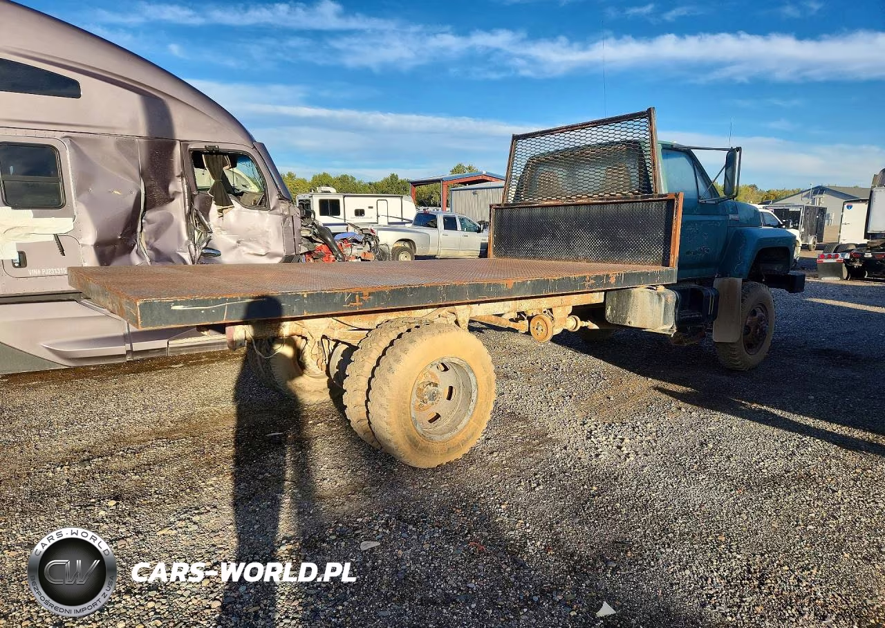 1982 Ford F700 VIN:1FDNF77HXCVA50383 - 3