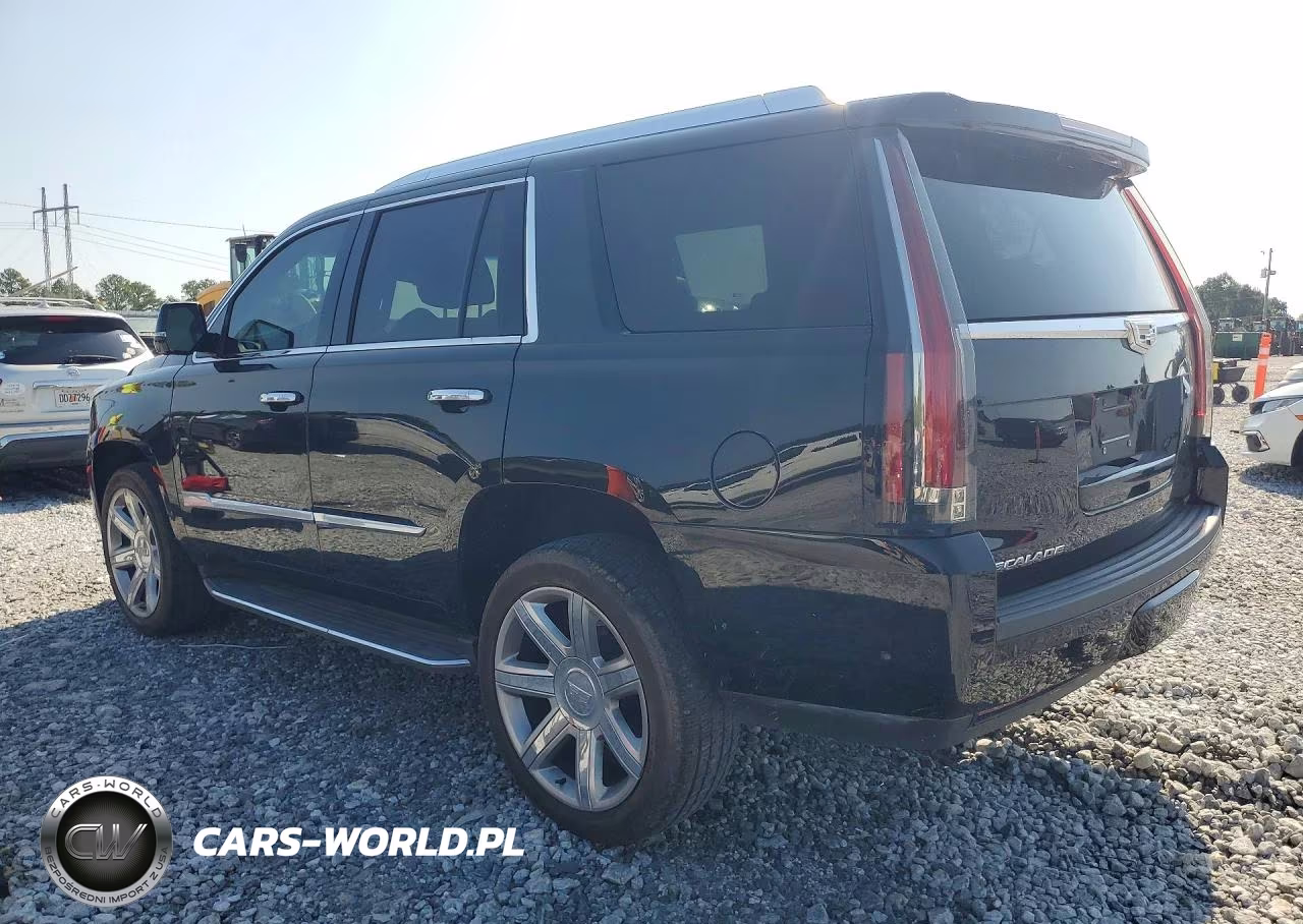 2020 Cadillac Escalade Luxury VIN:1GYS3BKJ9LR223102 - 2