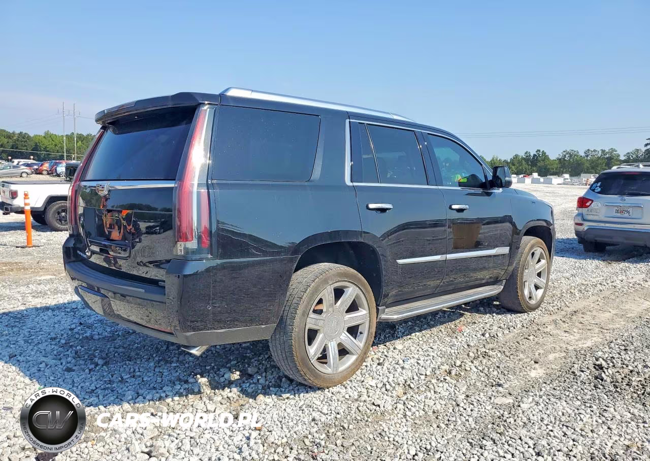 2020 Cadillac Escalade Luxury VIN:1GYS3BKJ9LR223102 - 3