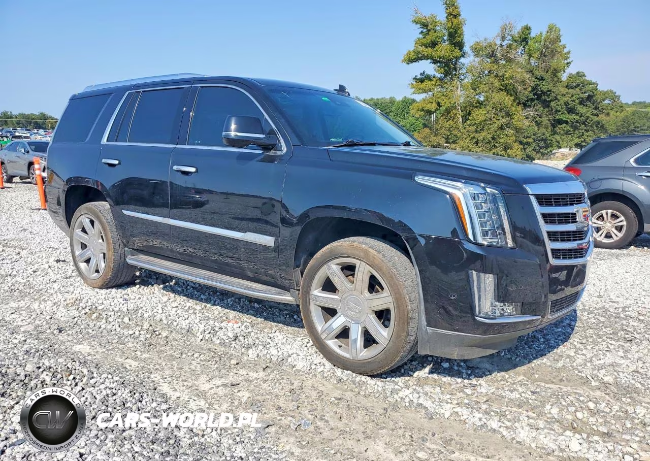 2020 Cadillac Escalade Luxury VIN:1GYS3BKJ9LR223102 - 4