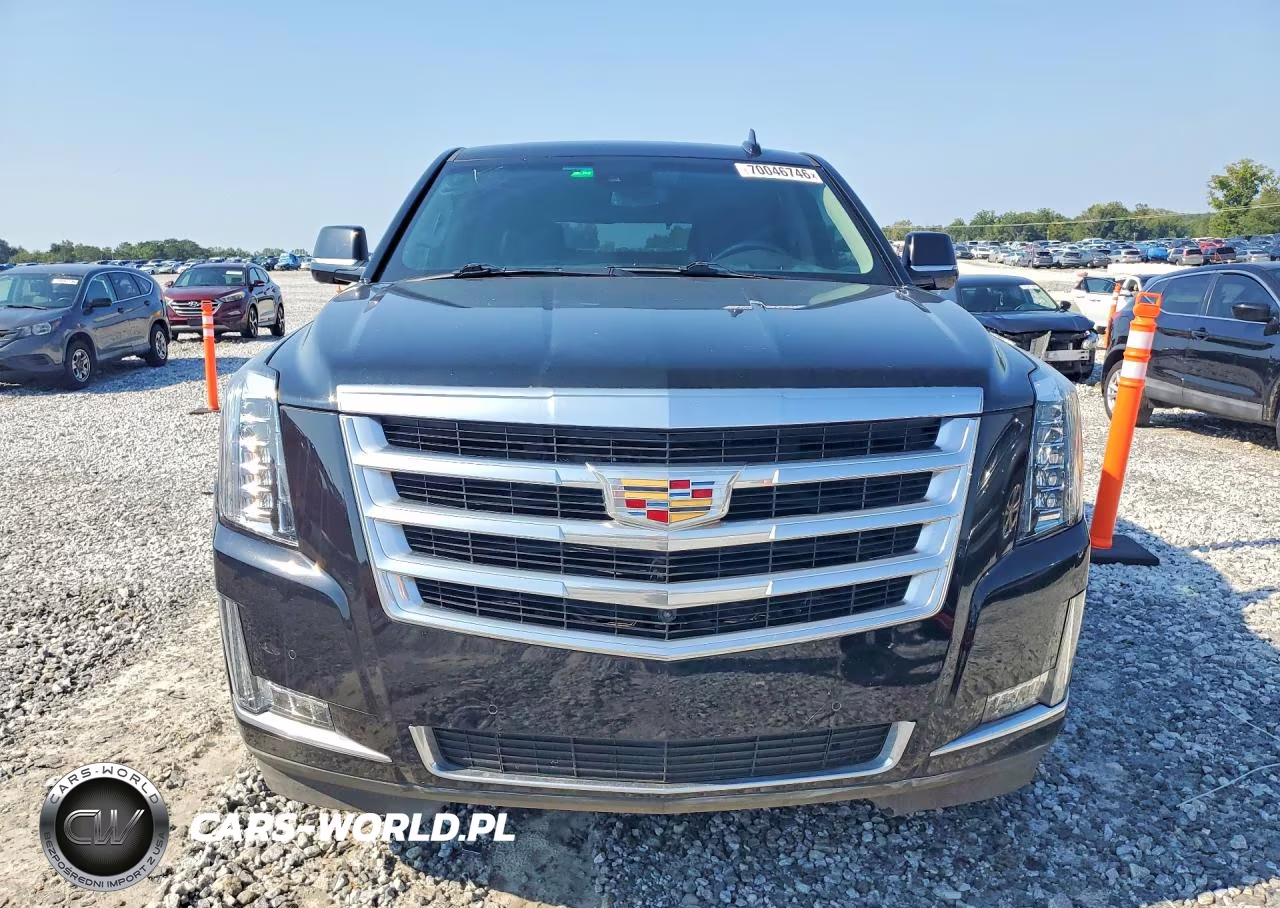 2020 Cadillac Escalade Luxury VIN:1GYS3BKJ9LR223102 - 5