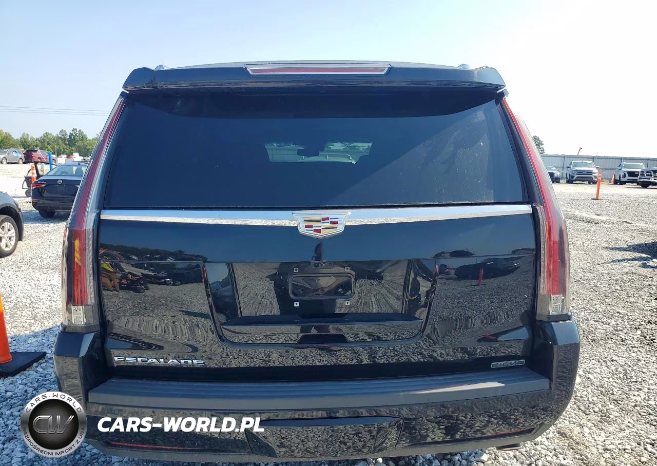 2020 Cadillac Escalade Luxury VIN:1GYS3BKJ9LR223102 - 6