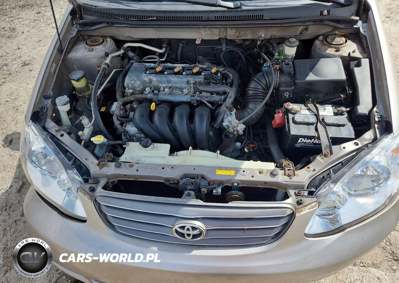 2003 Toyota Corolla Ce VIN:1NXBR32E43Z013951 - 11