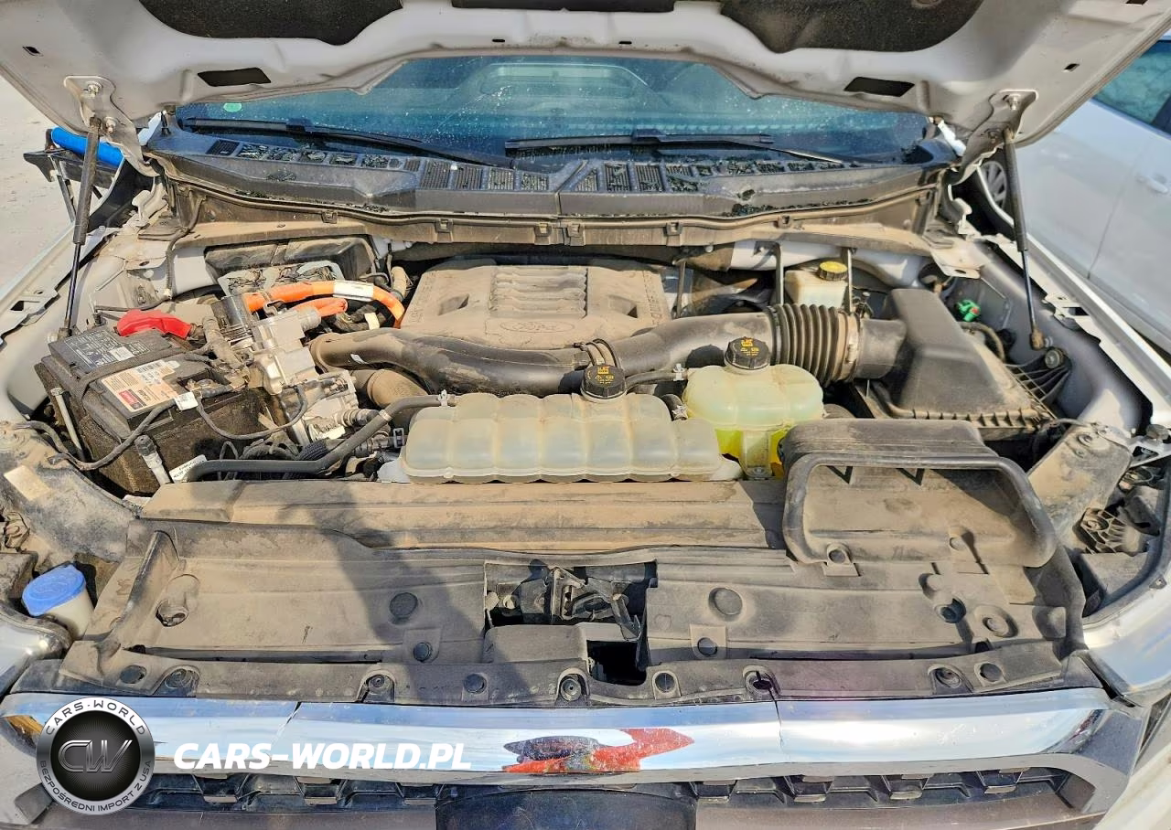 2021 Ford F150 Supercrew VIN:1FTFW1ED4MFB09249 - 11