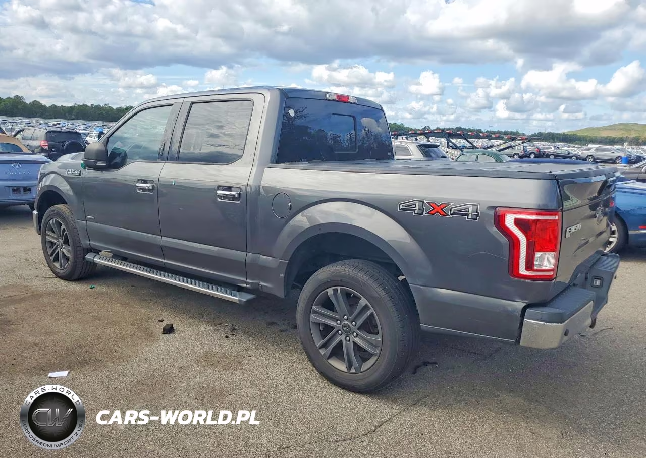 2017 Ford F150 Supercrew VIN:1FTEW1EG1HFC75093 - 2