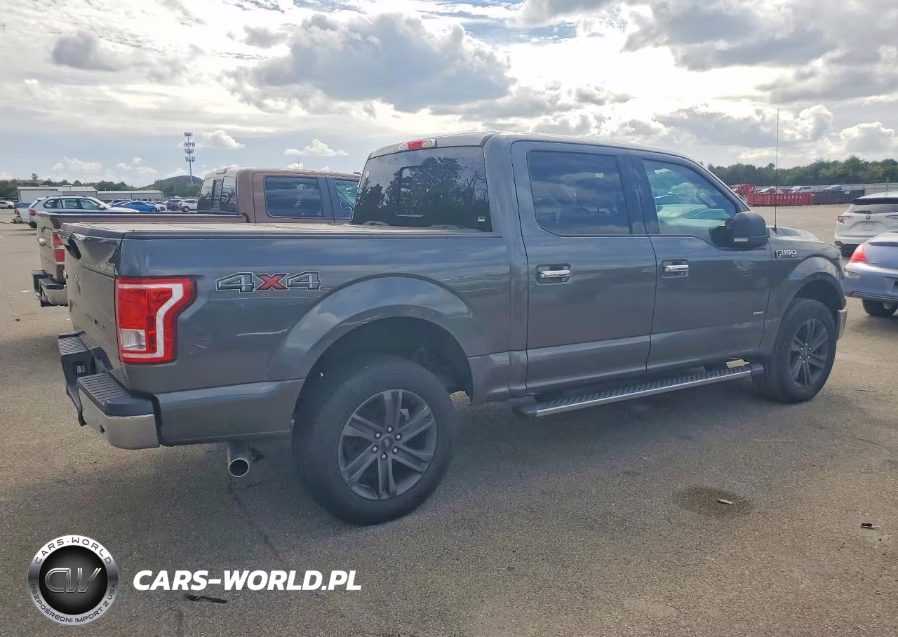 2017 Ford F150 Supercrew VIN:1FTEW1EG1HFC75093 - 3