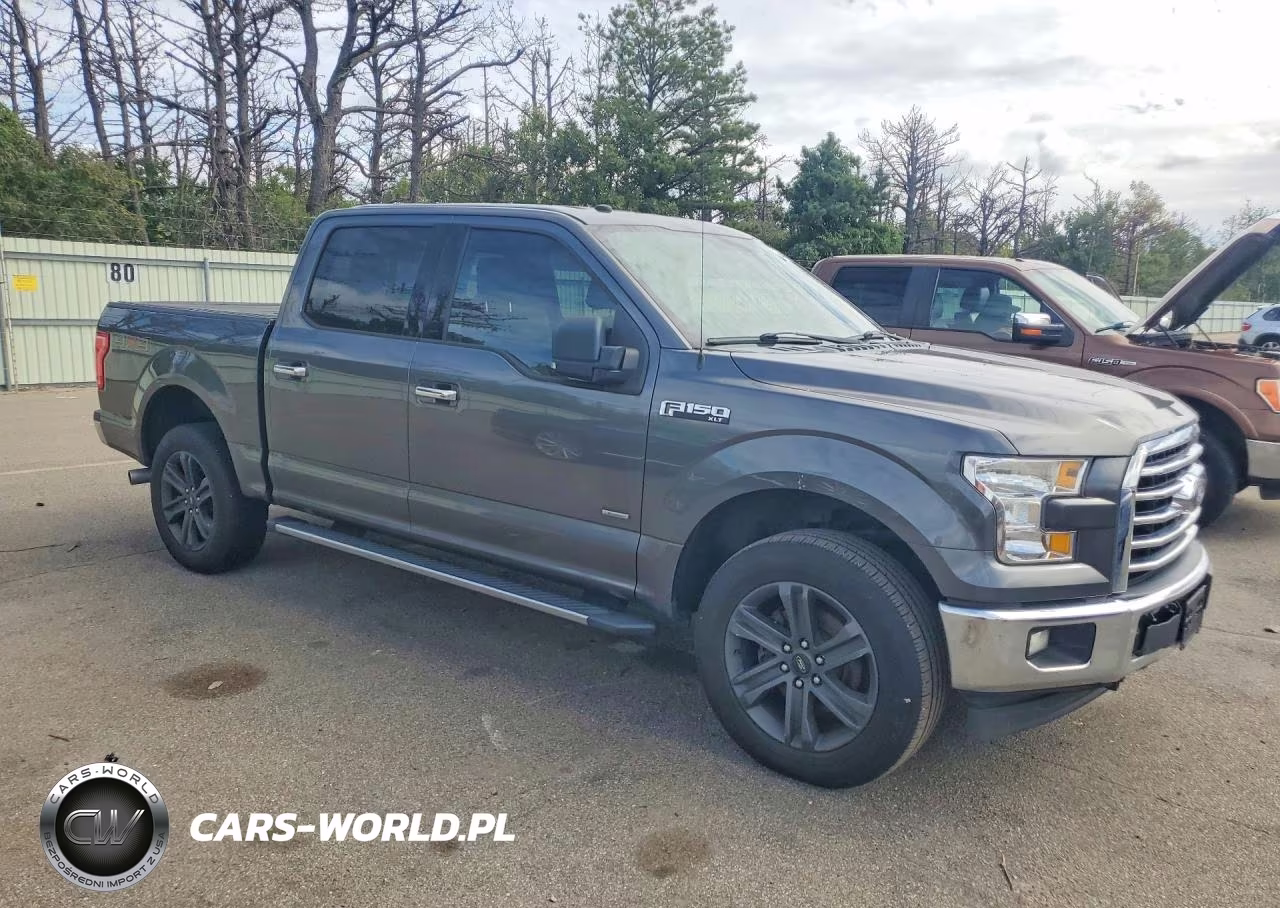 2017 Ford F150 Supercrew VIN:1FTEW1EG1HFC75093 - 4