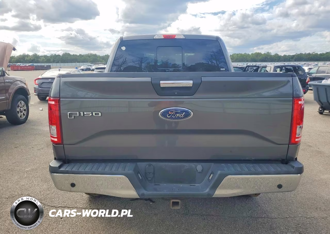 2017 Ford F150 Supercrew VIN:1FTEW1EG1HFC75093 - 6