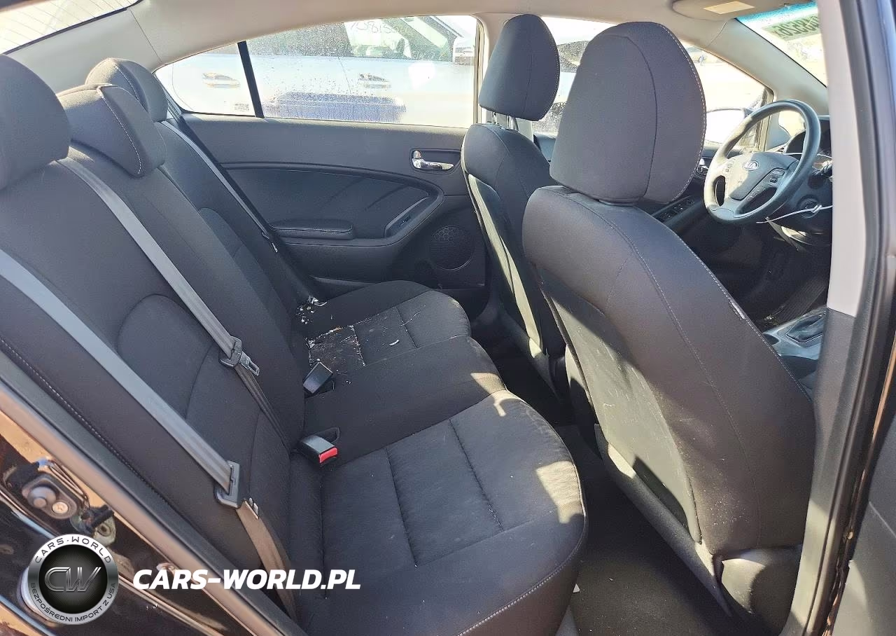 2016 Kia Forte Lx VIN:KNAFK4A63G5613447 - 10