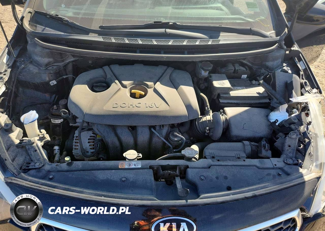 2016 Kia Forte Lx VIN:KNAFK4A63G5613447 - 11