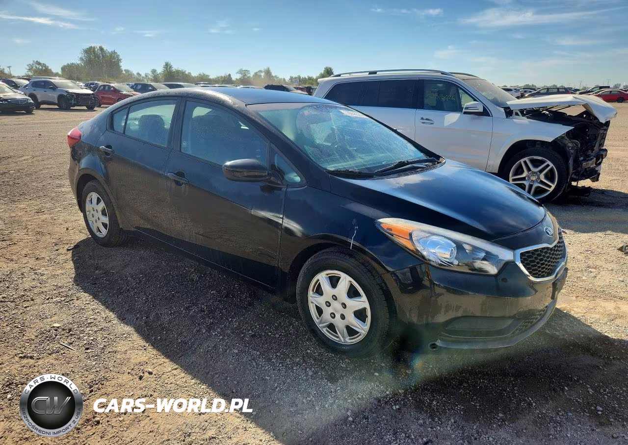 2016 Kia Forte Lx VIN:KNAFK4A63G5613447 - 4