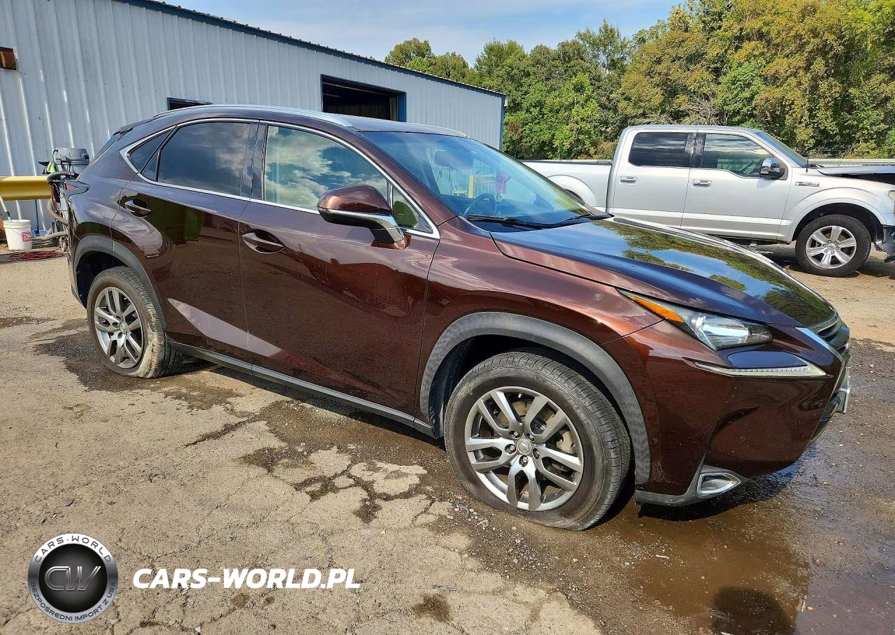 2016 Lexus Nx 200T Base VIN:JTJYARBZ0G2022821 - 4