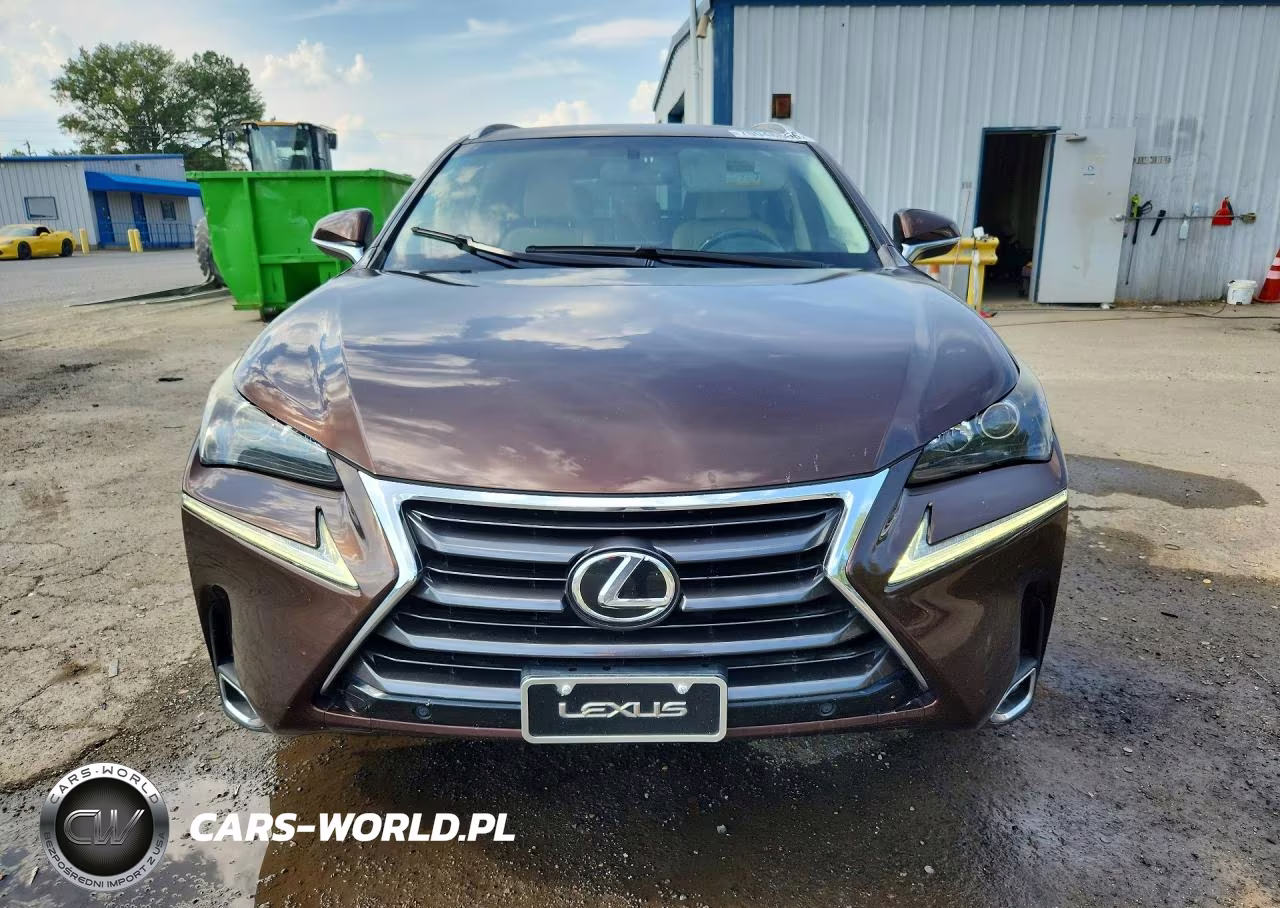 2016 Lexus Nx 200T Base VIN:JTJYARBZ0G2022821 - 5