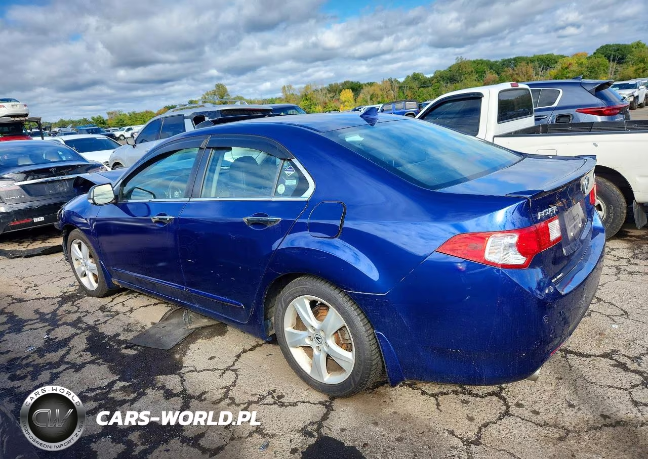 2009 Acura Tsx VIN:JH4CU26619C033902 - 2