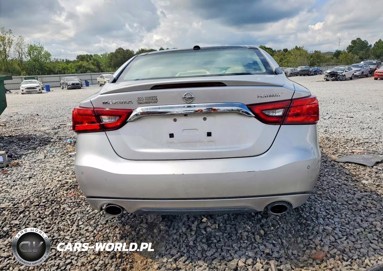 2016 Nissan Maxima Platinum VIN:1N4AA6AP1GC436399 - 6
