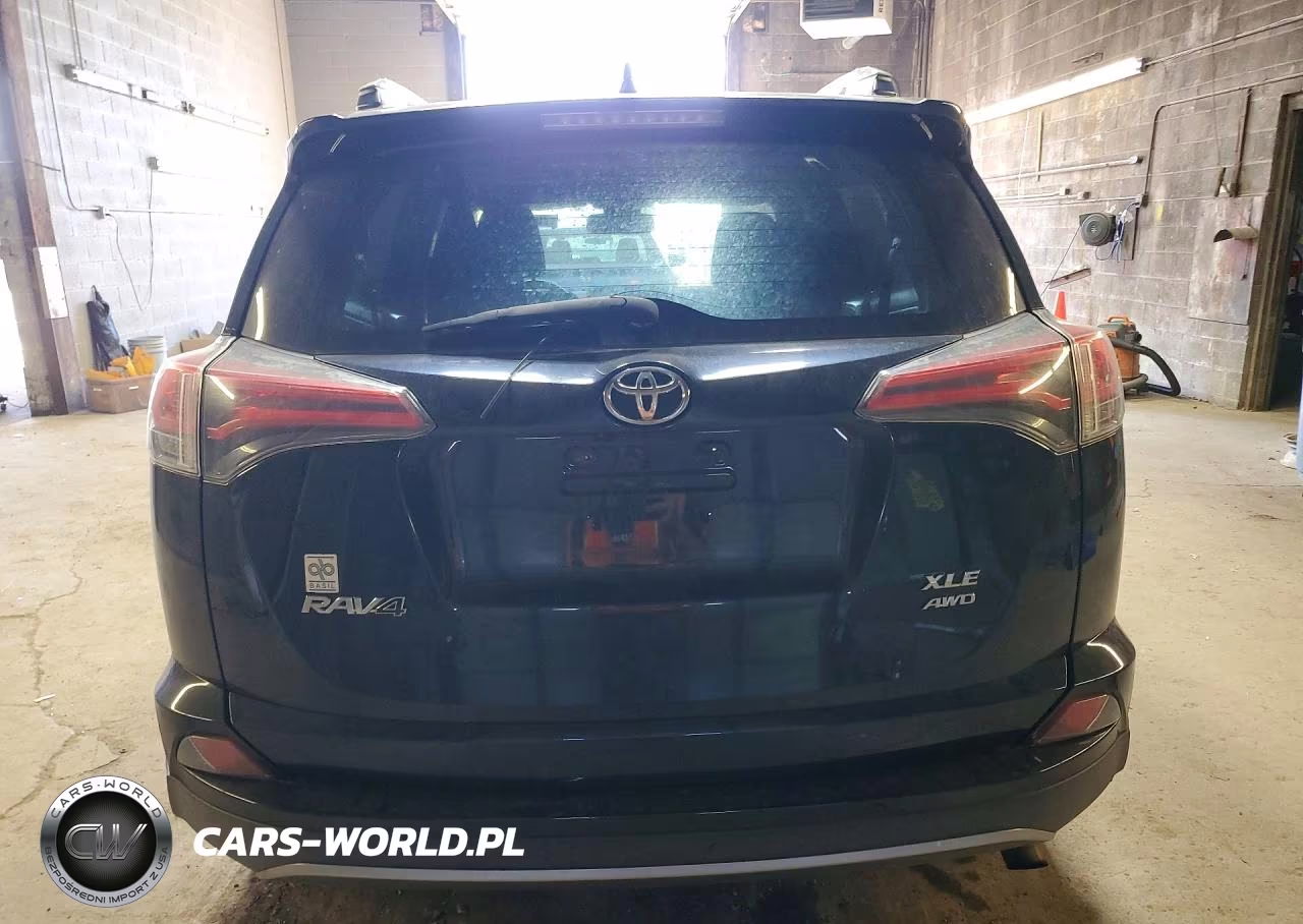2017 Toyota Rav4 Xle VIN:2T3RFREV9HW654923 - 6