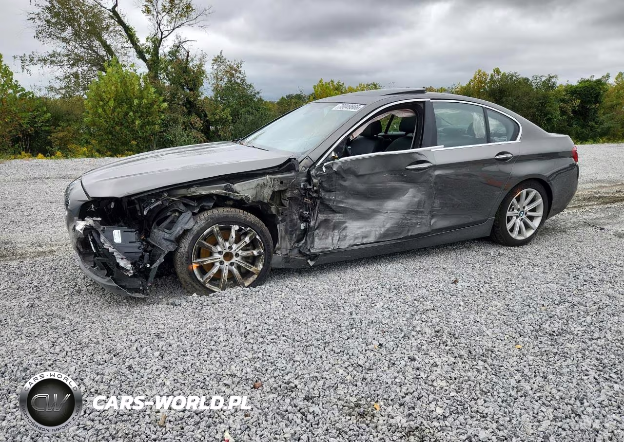 2014 BMW 535 I VIN:WBA5B1C55ED477954 - 1