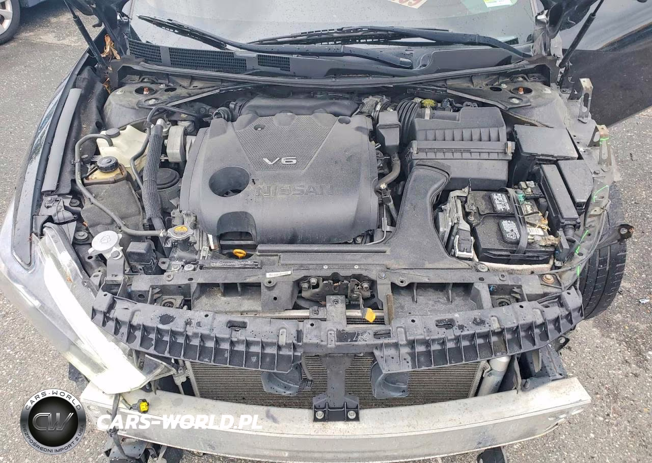 2016 Nissan Maxima Platinum VIN:1N4AA6AP1GC408876 - 11
