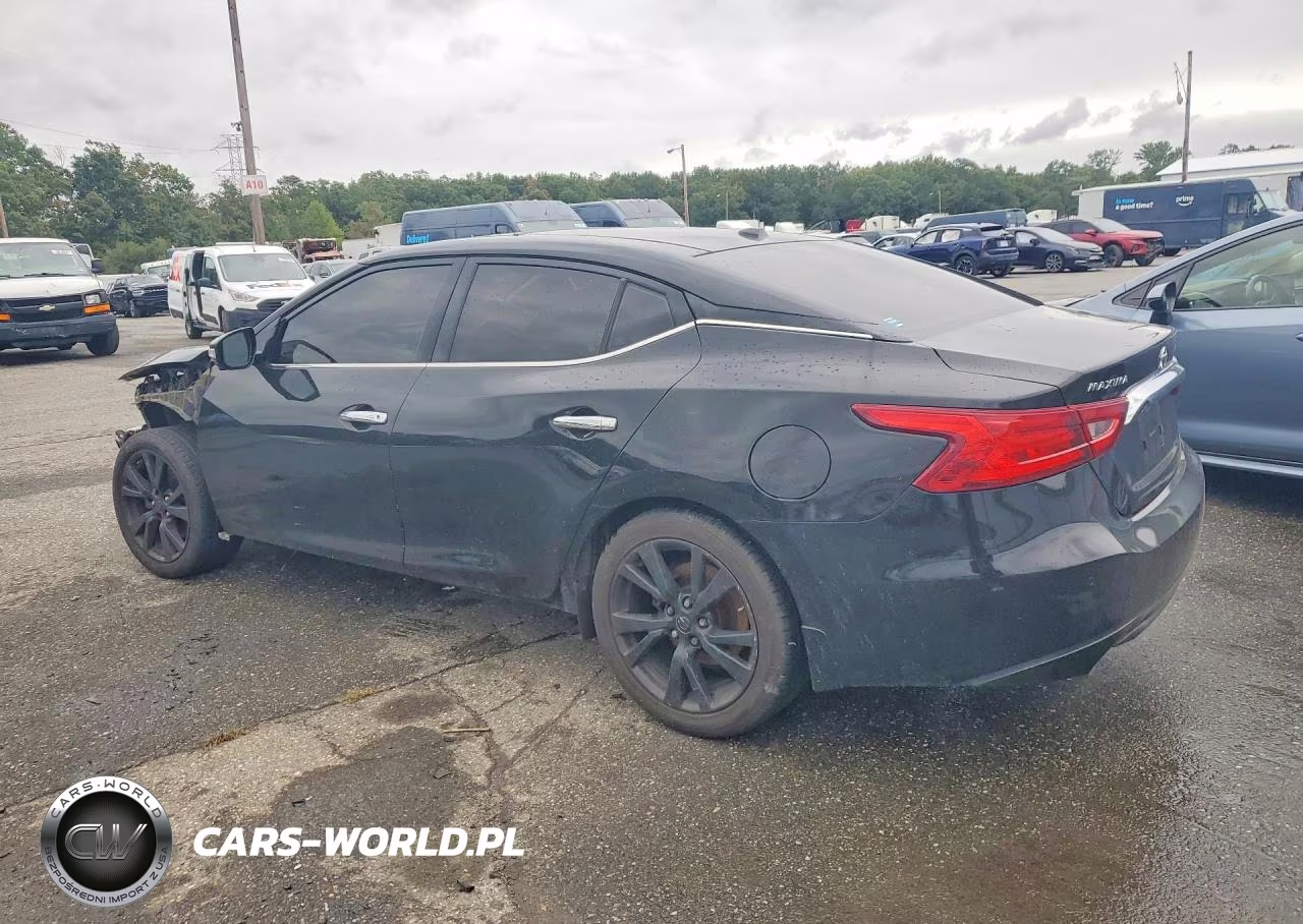 2016 Nissan Maxima Platinum VIN:1N4AA6AP1GC408876 - 2