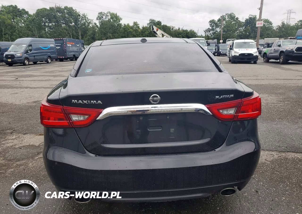 2016 Nissan Maxima Platinum VIN:1N4AA6AP1GC408876 - 6