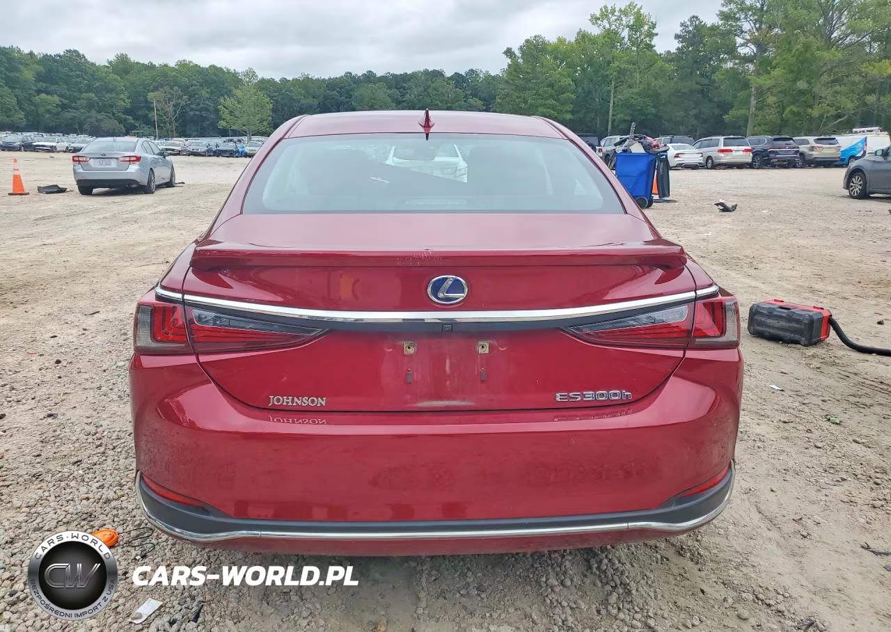 2022 Lexus Es 300H Base VIN:58ADA1C15NU024646 - 6