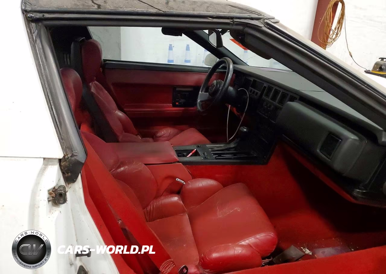 1989 Chevrolet Corvette VIN:1G1YY2187K5107038 - 10