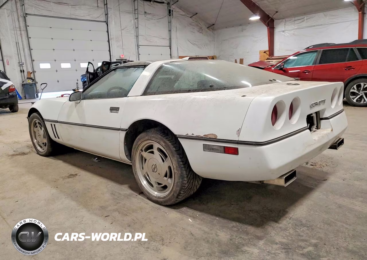 1989 Chevrolet Corvette VIN:1G1YY2187K5107038 - 2